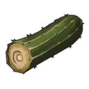 Cactus tubular fibroso