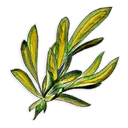Marrentill