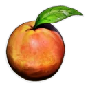 Melocotón