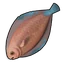 Lenguado del desierto crudo